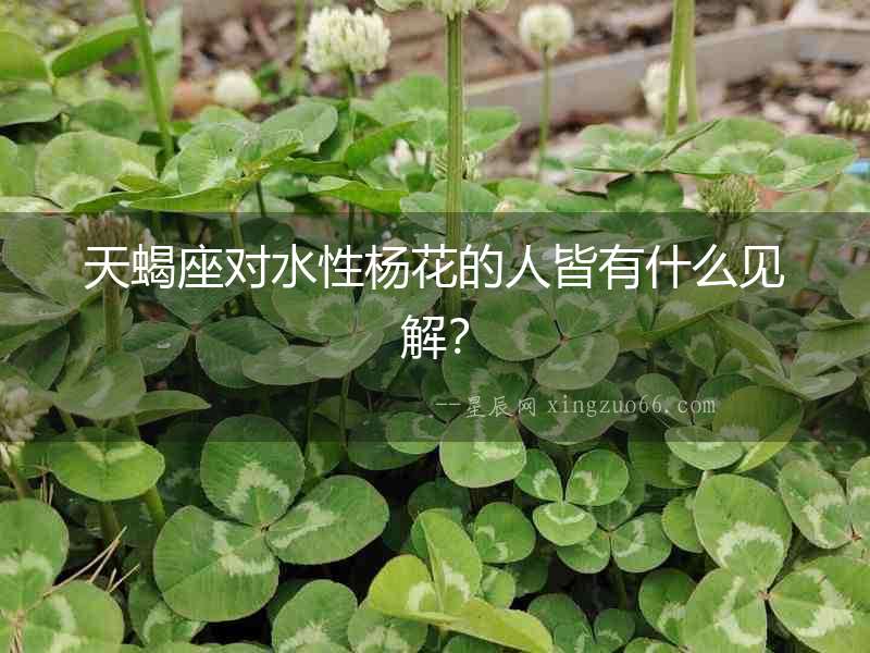 天蝎座對水性楊花的人皆有什么見解？