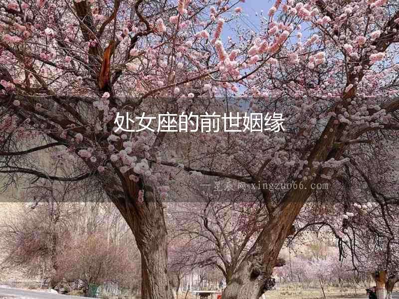 處女座的前世姻緣
