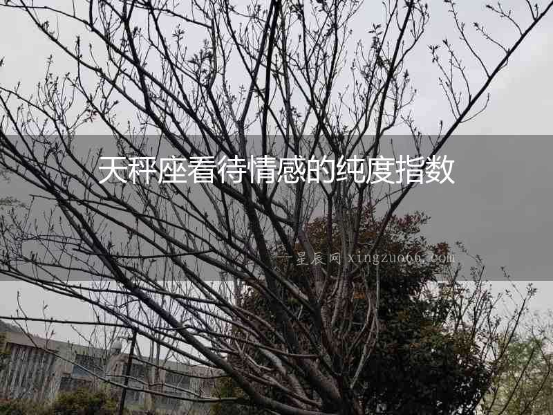 天秤座看待情感的純度指數