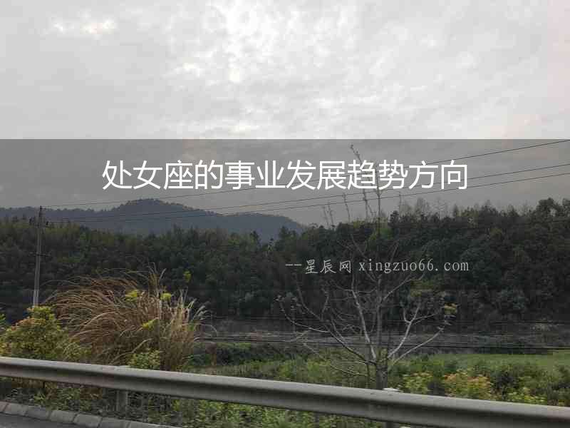 處女座的事業發展趨勢方向
