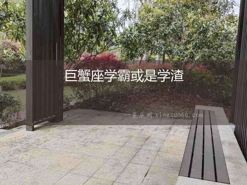 巨蟹座學霸或是學渣