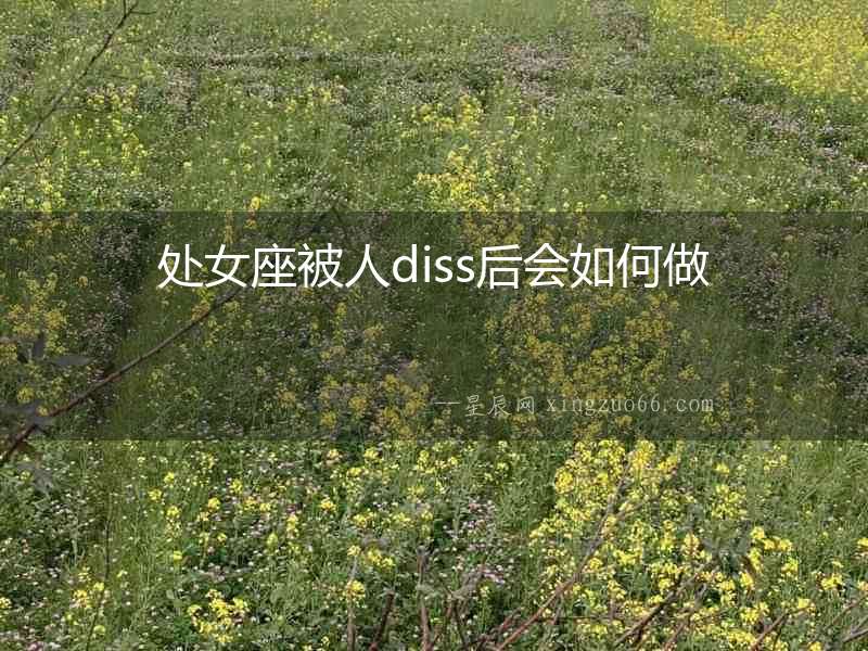 處女座被人diss后會如何做