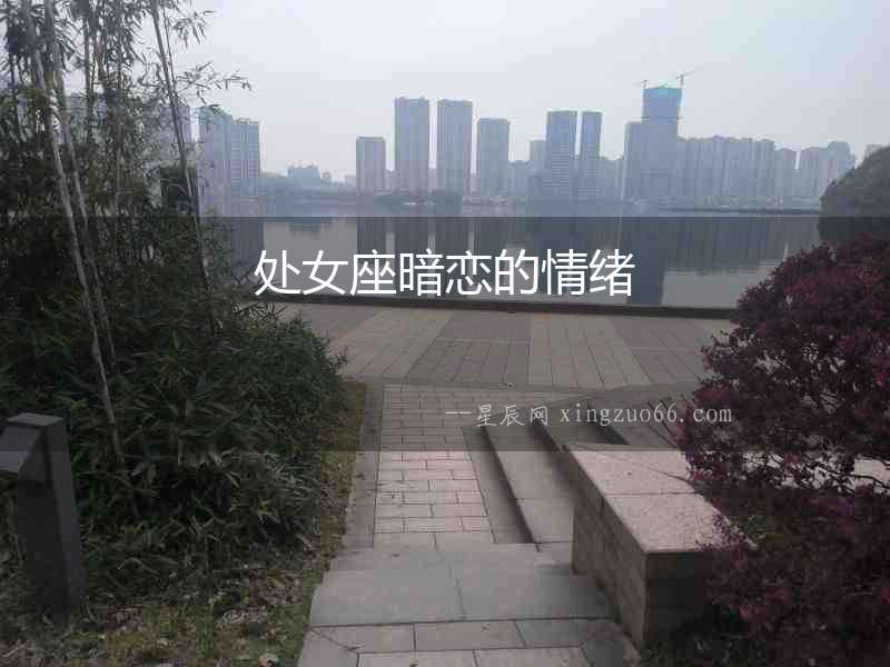 處女座暗戀的情緒