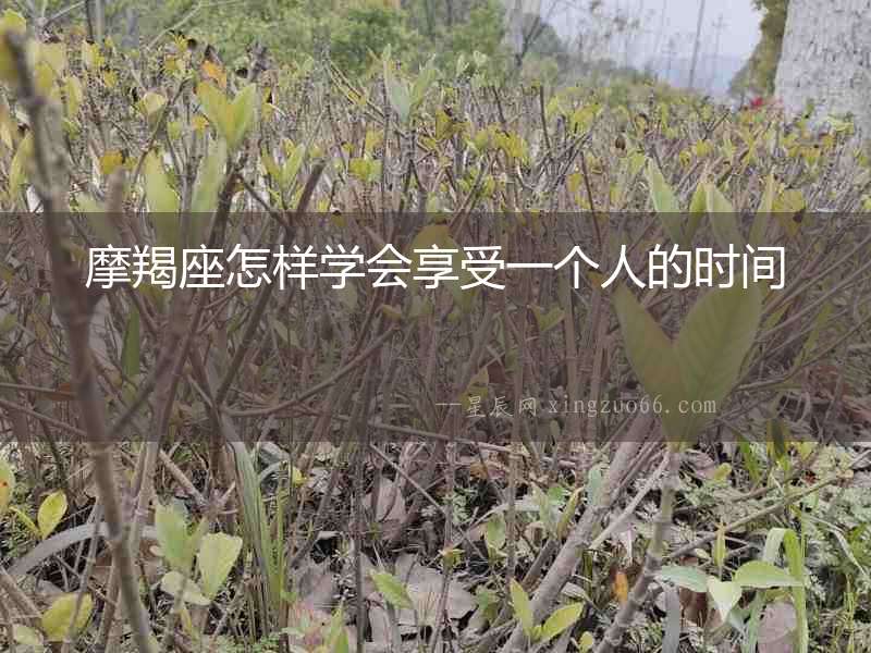 摩羯座怎樣學會享受一個人的時間