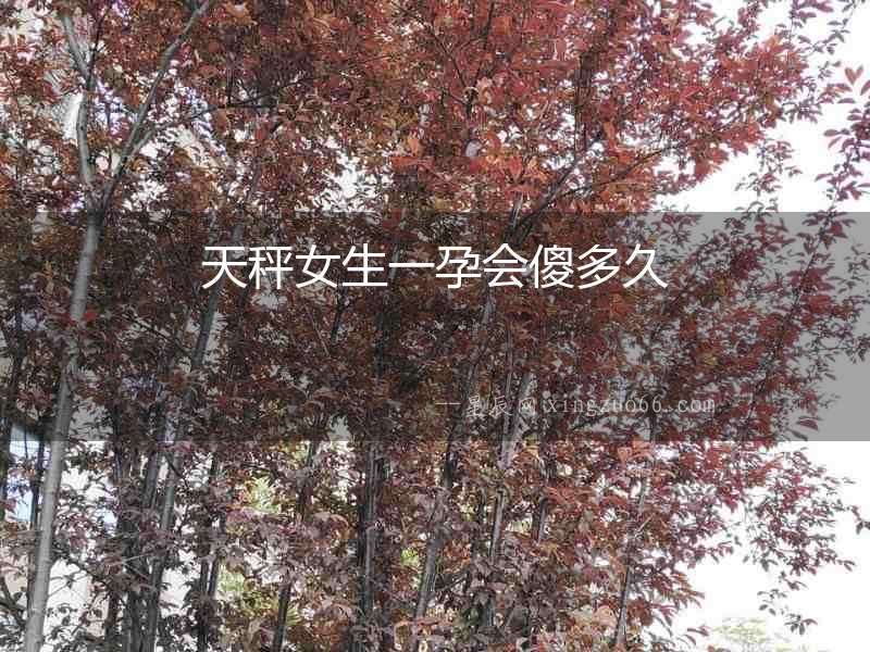 天秤女生一孕會傻多久