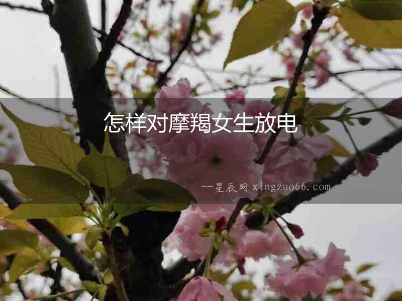 怎樣對摩羯女生放電