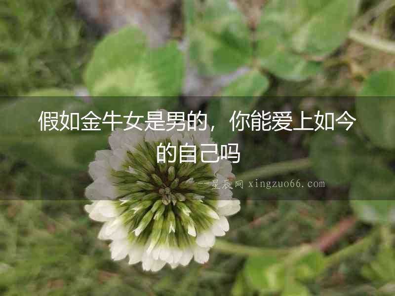 假如金牛女是男的，你能愛上如今的自己嗎