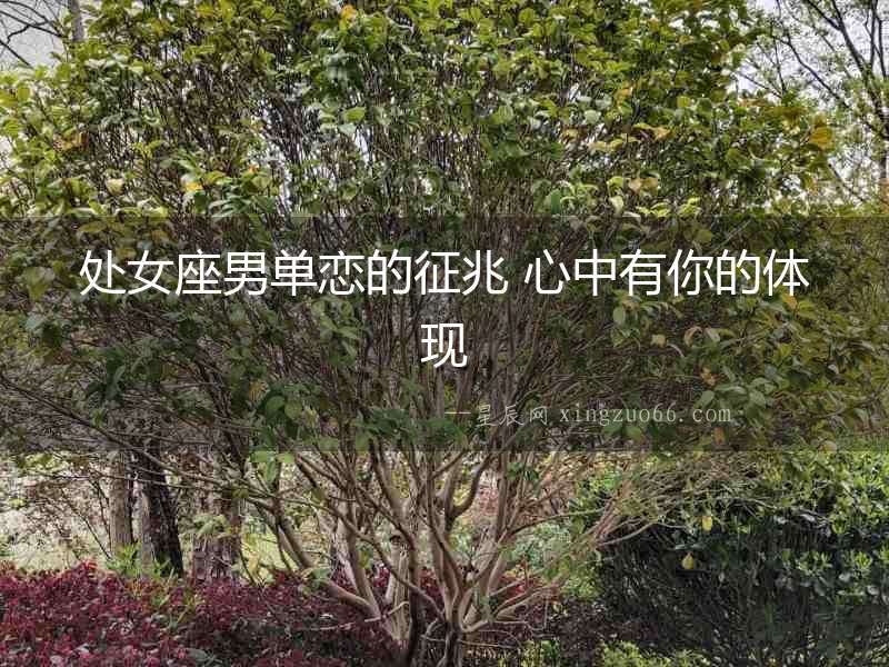 處女座男單戀的征兆 心中有你的體現