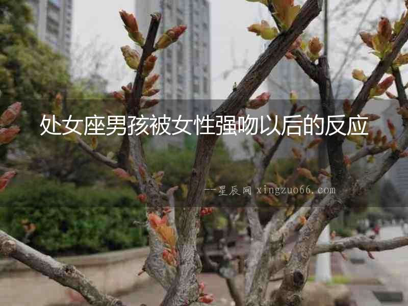 處女座男孩被女性強(qiáng)吻以后的反應(yīng)