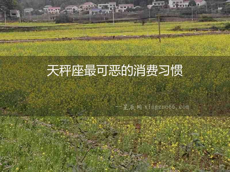 天秤座最可惡的消費習慣