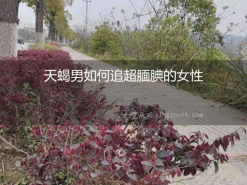 天蝎男如何追超靦腆的女性