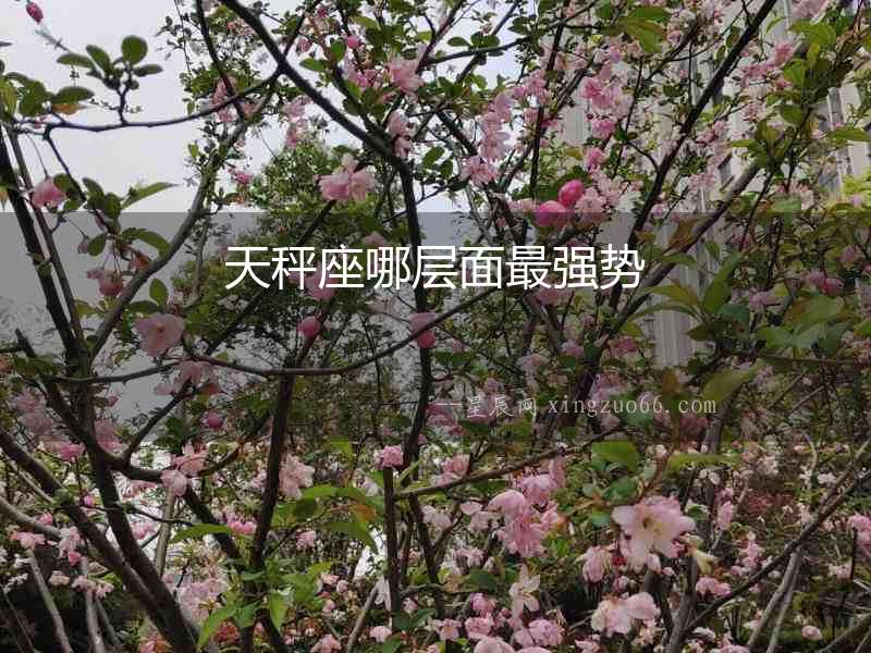 天秤座哪層面最強勢