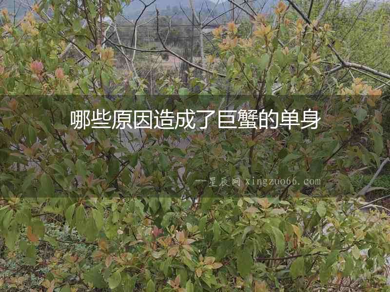 哪些原因造成了巨蟹的單身