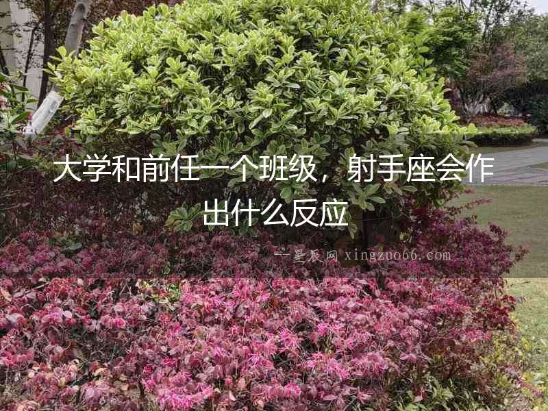 大學和前任一個班級，射手座會作出什么反應
