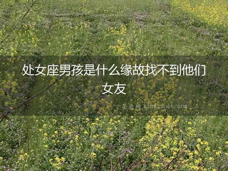 處女座男孩是什么緣故找不到他們女友