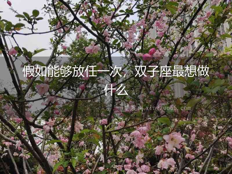假如能夠放任一次，雙子座最想做什么