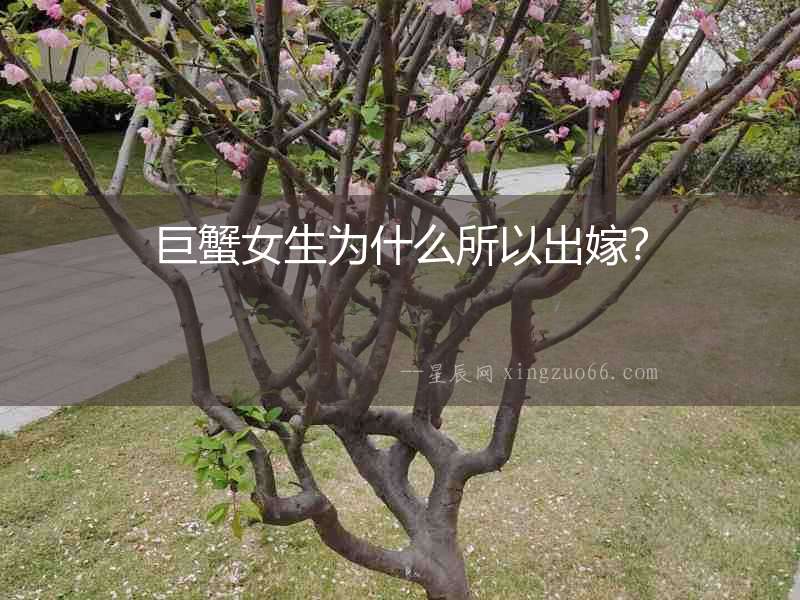 巨蟹女生為什么所以出嫁？