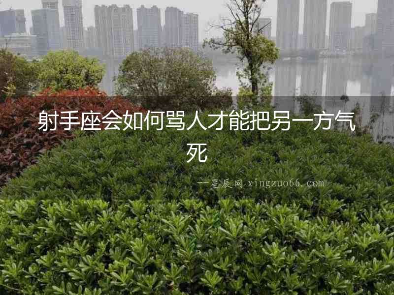 射手座會如何罵人才能把另一方氣死