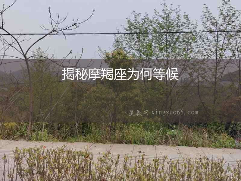 揭秘摩羯座為何等候