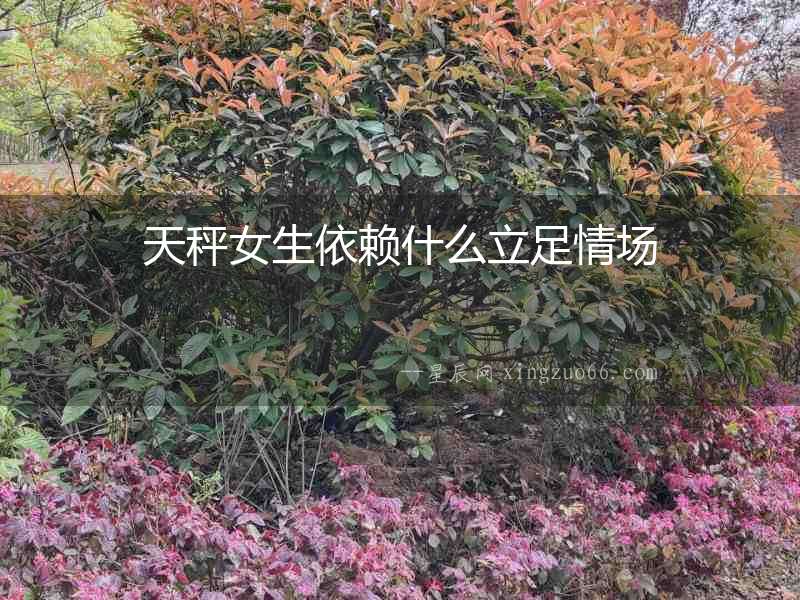 天秤女生依賴什么立足情場