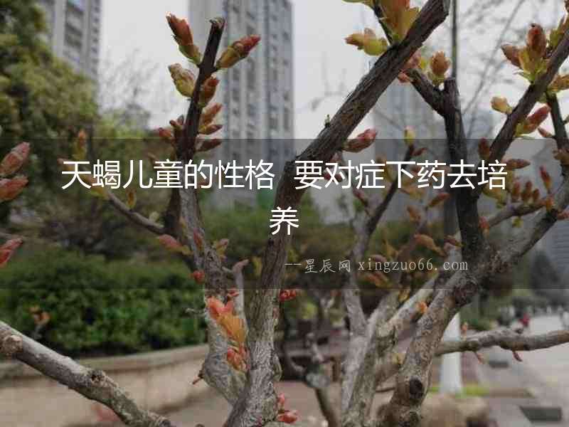 天蝎兒童的性格  要對癥下藥去培養
