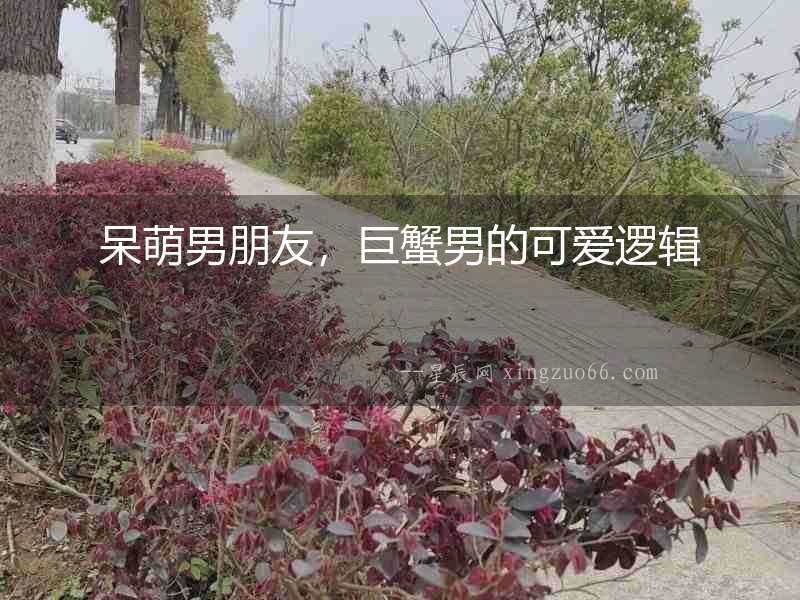 呆萌男朋友，巨蟹男的可愛邏輯