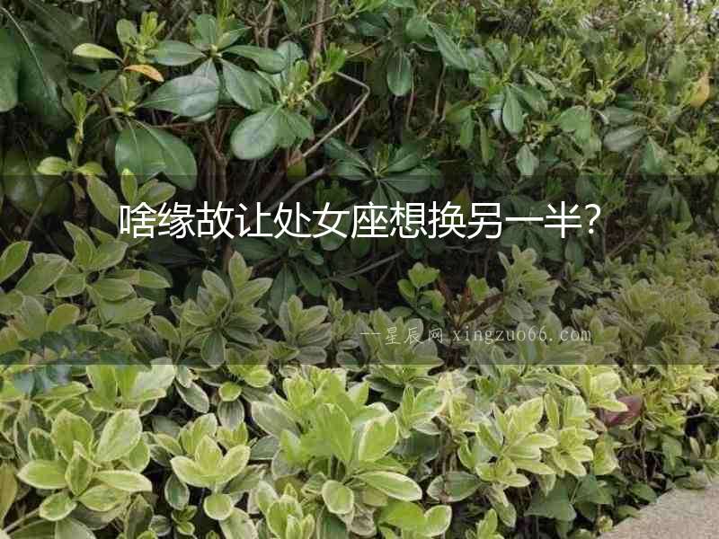 啥緣故讓處女座想換另一半？