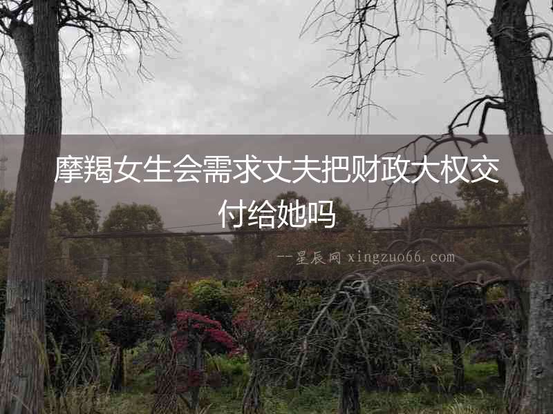 摩羯女生會需求丈夫把財政大權交付給她嗎