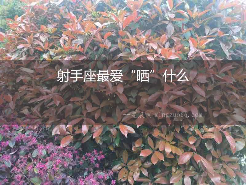 射手座最愛“曬”什么