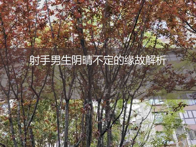 射手男生陰晴不定的緣故解析