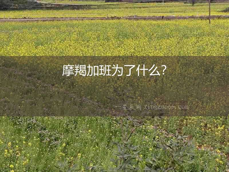 摩羯加班為了什么？