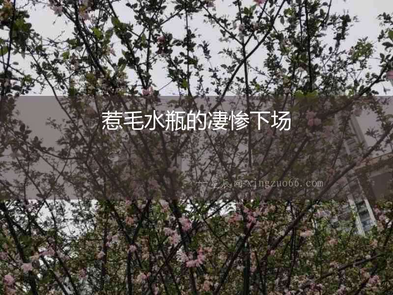 惹毛水瓶的凄慘下場