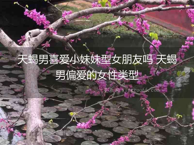天蝎男喜愛小妹妹型女朋友嗎 天蝎男偏愛的女性類型