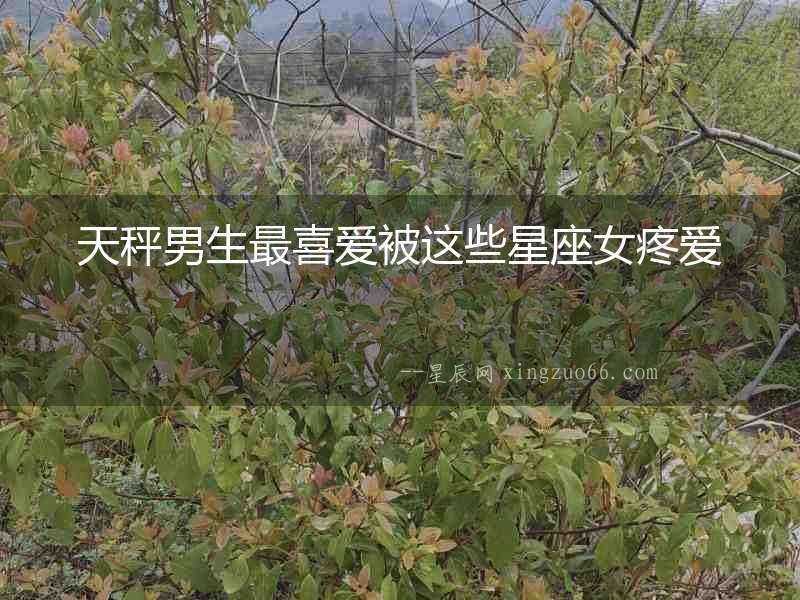 天秤男生最喜愛被這些星座女疼愛