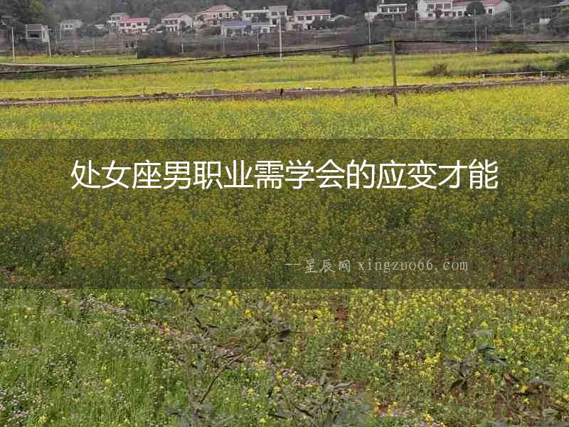 處女座男職業(yè)需學(xué)會(huì)的應(yīng)變才能
