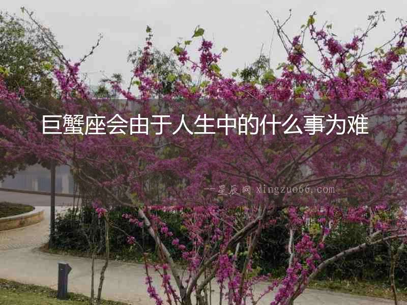 巨蟹座會由于人生中的什么事為難