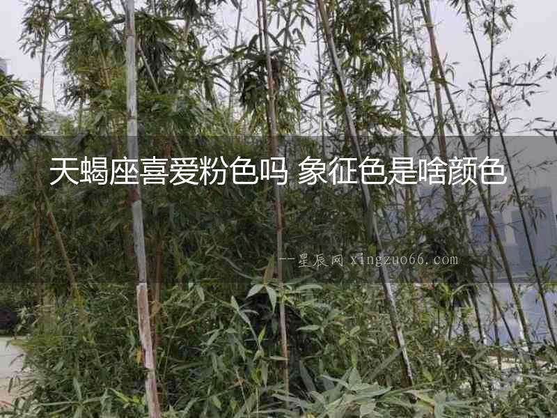 天蝎座喜愛粉色嗎 象征色是啥顏色