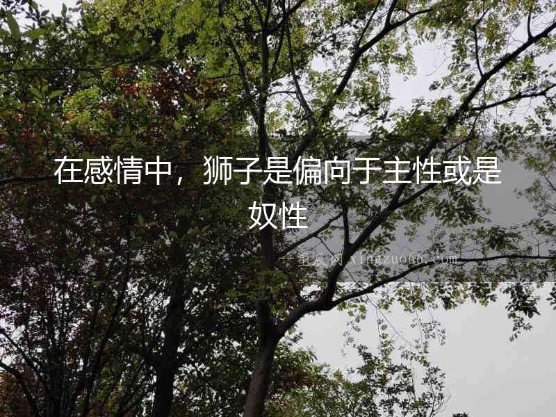 在感情中，獅子是偏向于主性或是奴性