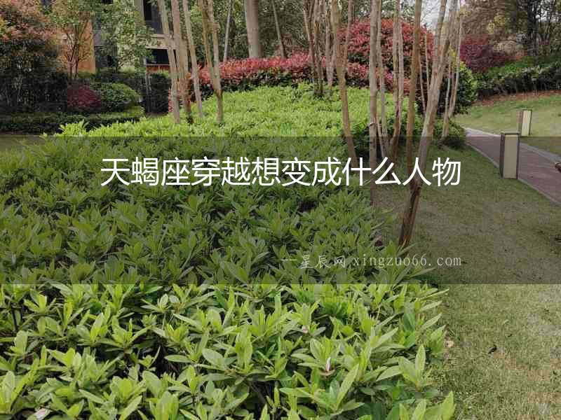 天蝎座穿越想變成什么人物