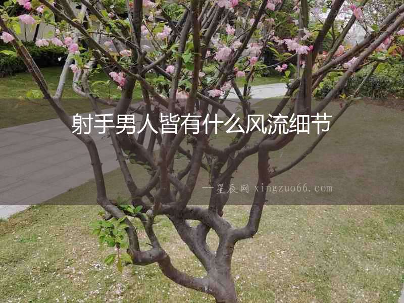射手男人皆有什么風流細節