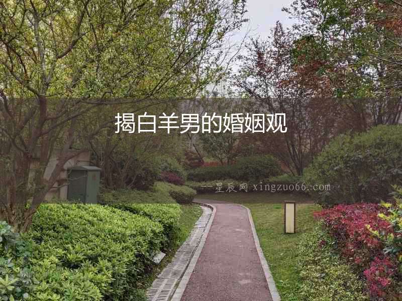 揭白羊男的婚姻觀