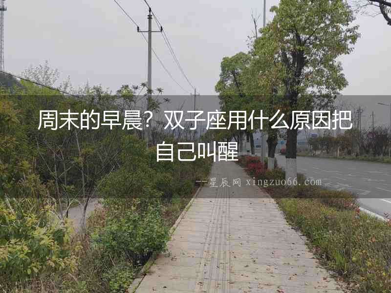 周末的早晨？雙子座用什么原因把自己叫醒