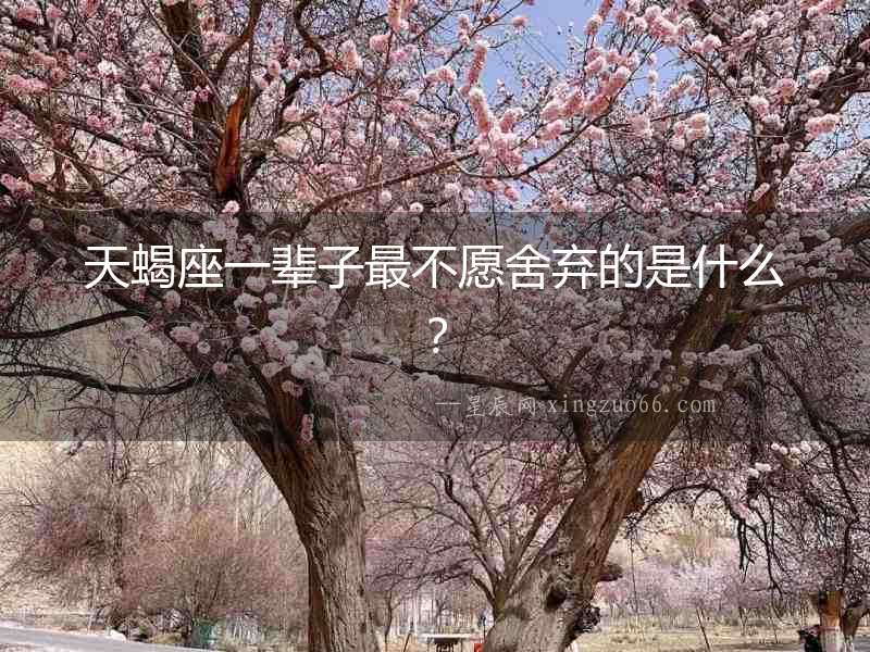 天蝎座一輩子最不愿舍棄的是什么？