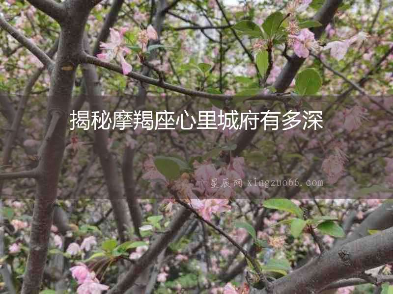揭秘摩羯座心里城府有多深