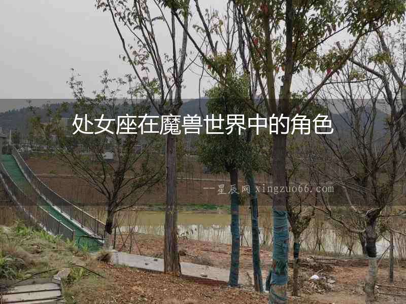 處女座在魔獸世界中的角色