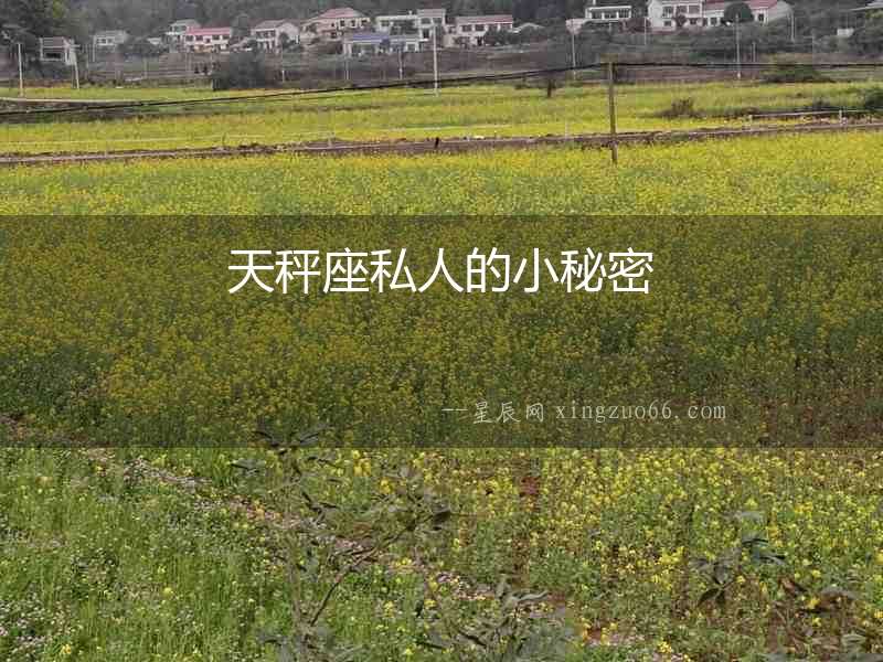 天秤座私人的小秘密