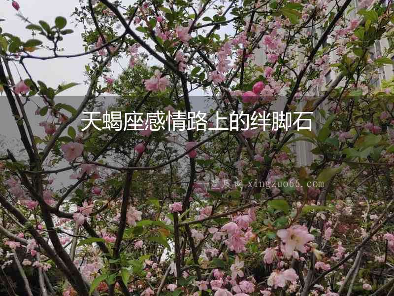 天蝎座感情路上的絆腳石