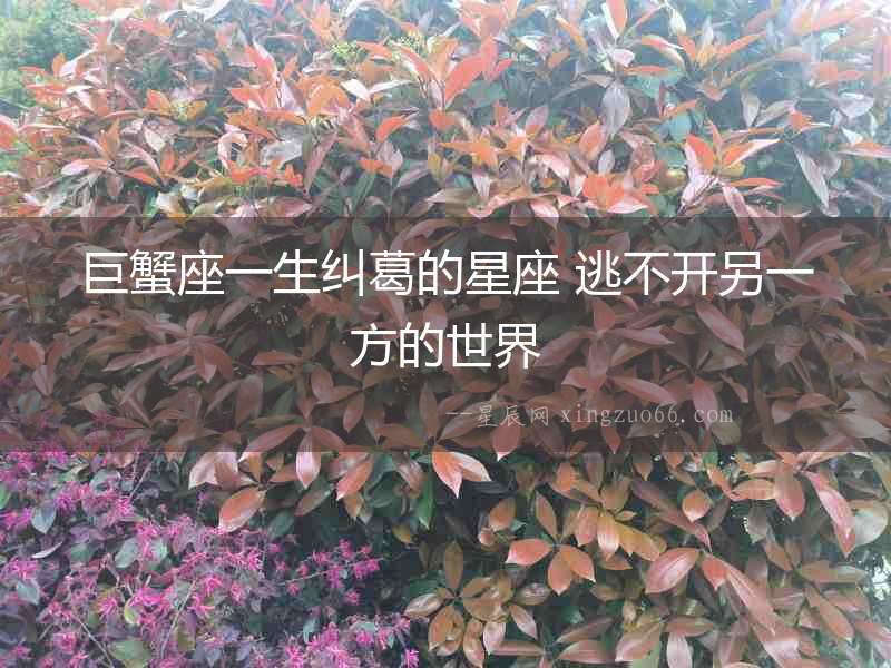 巨蟹座一生糾葛的星座 逃不開另一方的世界