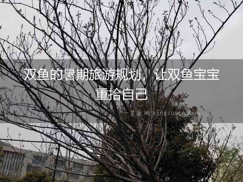 雙魚的暑期旅游規(guī)劃，讓雙魚寶寶重拾自己