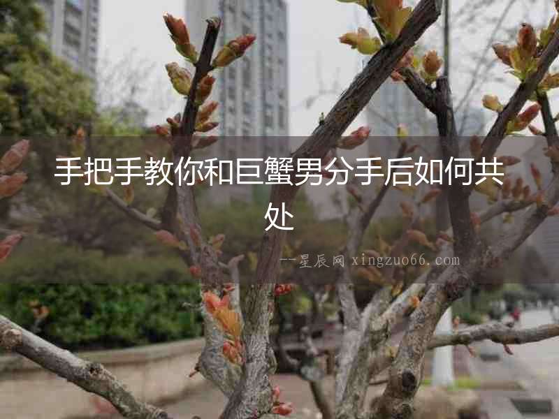 手把手教你和巨蟹男分手后如何共處